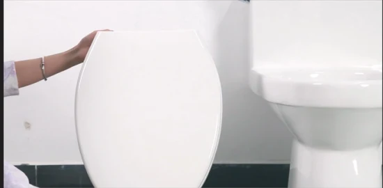 Banheiro Cerâmico Branco Chinês Louças Sanitárias Sifônico Wc Wc